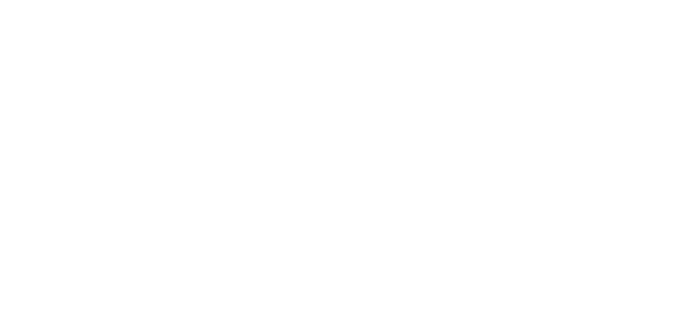 Dubovision
